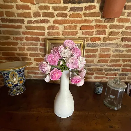 Grand Du Chateau Semesterbostad Montlaur (Haute-Garonne)